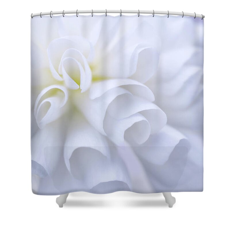 White Shower Curtain featuring the photograph White Hydrangea by Louise Tanguay