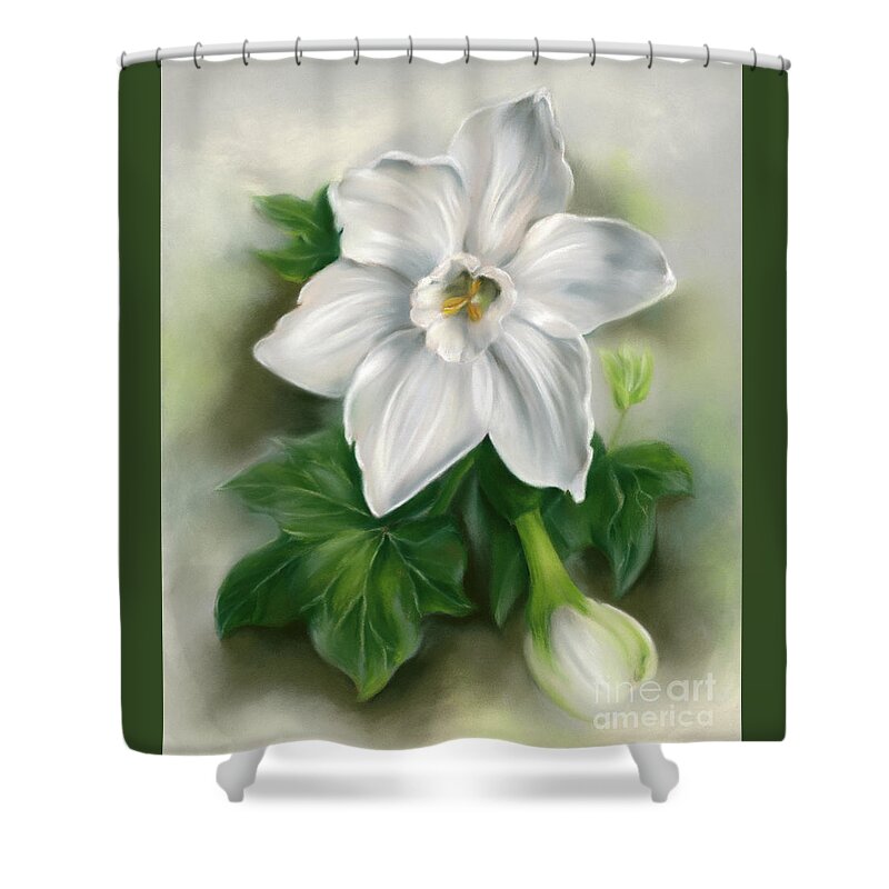 Botanical Shower Curtain featuring the painting White Narcissus with Ivy Leaves by MM Anderson