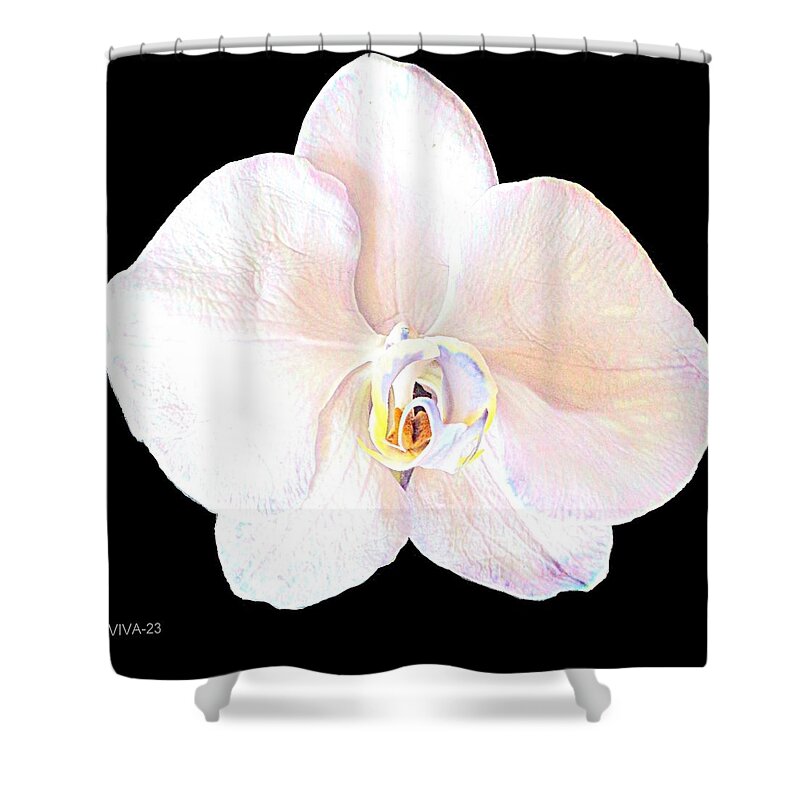 White Orchid Shower Curtain featuring the photograph White Orchid Intimacy by VIVA Anderson