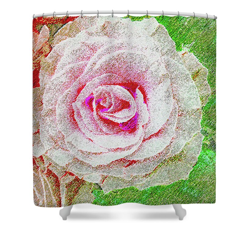 Rose Shower Curtain featuring the photograph White Rose in Pink and Green by Corinne Carroll