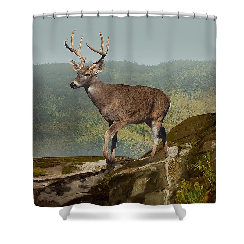 Deer Shower Curtain featuring the digital art White-tailed Buck at Dawn by M Spadecaller