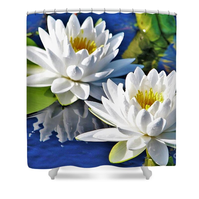 Water Lilies Shower Curtain featuring the photograph White Water Lilies by Joanne Carey