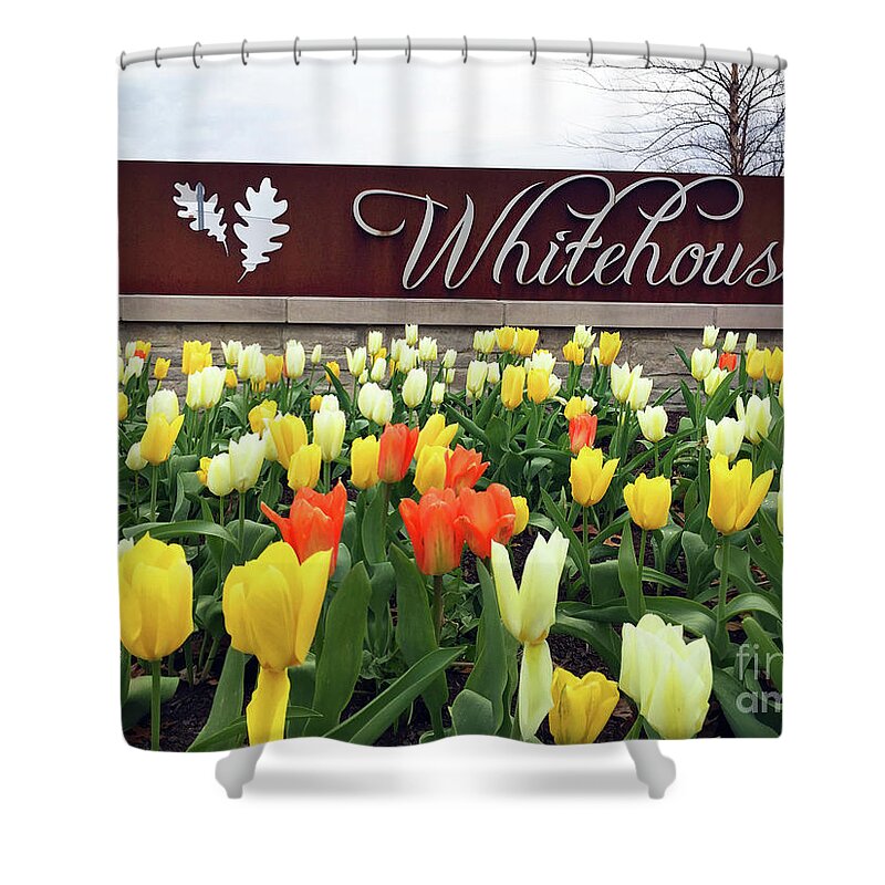 Tulips Shower Curtain featuring the photograph Whitehouse Ohio Tulips 1780 by Jack Schultz