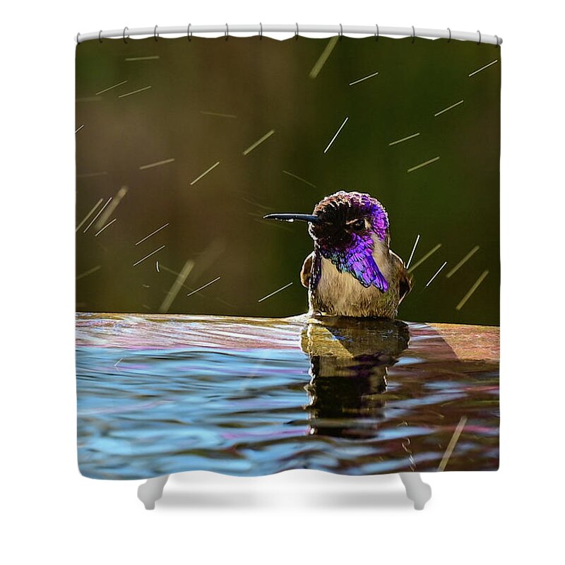 Birds Shower Curtain featuring the photograph Who U Lookin At? by Chris Casas