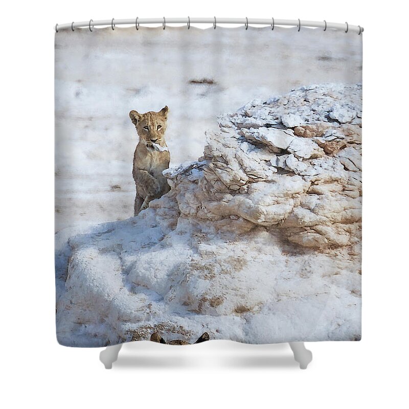 Lion Shower Curtain featuring the photograph Why Nap When You Can Play, No. 2 by Belinda Greb
