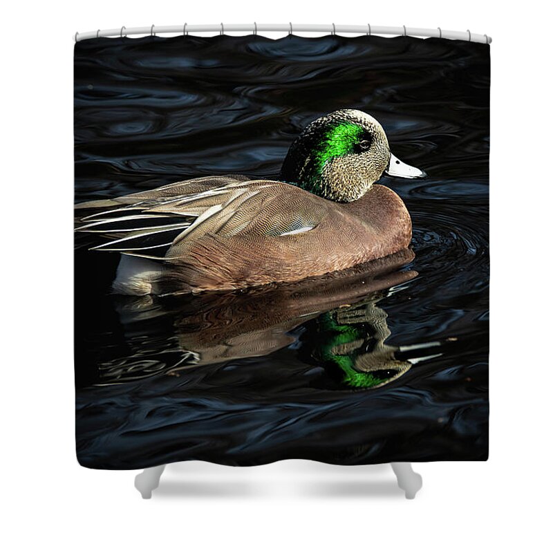 Americanwigeon Shower Curtain featuring the photograph Wigeon by Pam Rendall