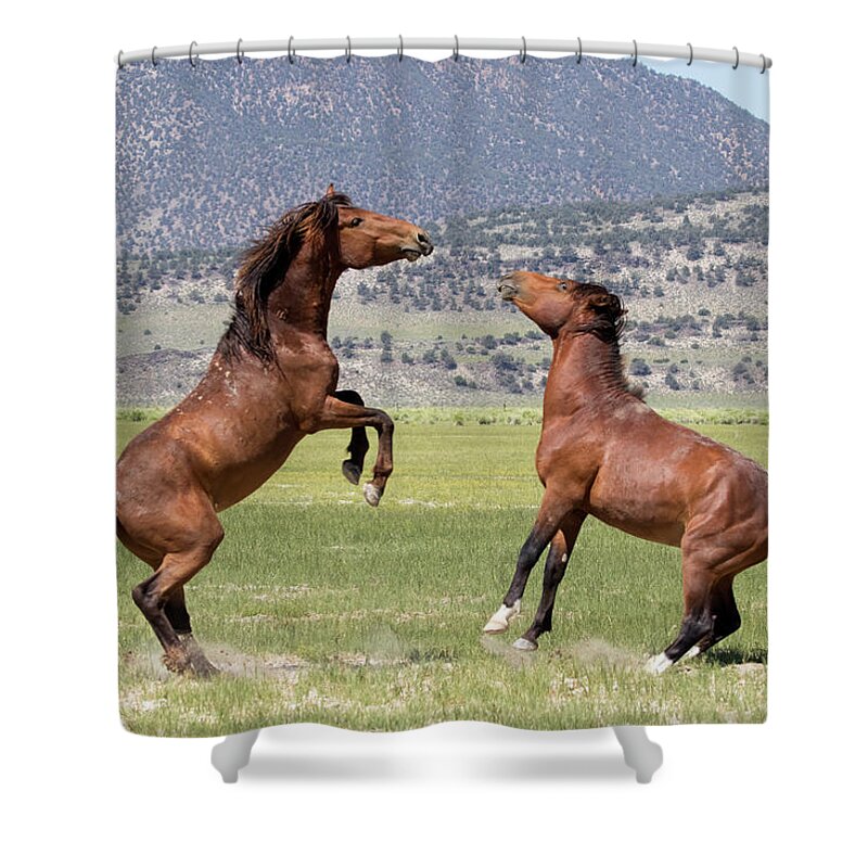 Eastern Sierra Shower Curtain featuring the photograph Wild and Frisky Mares by Cheryl Strahl