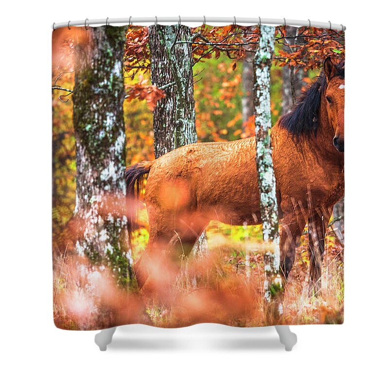 Animals Shower Curtain featuring the photograph Wild by Evgeni Dinev