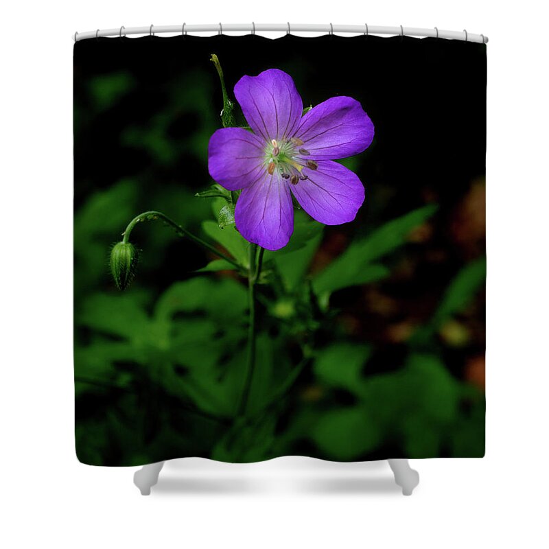 Wildflower Shower Curtain featuring the photograph Wild Geranium with Five Petals by James C Richardson