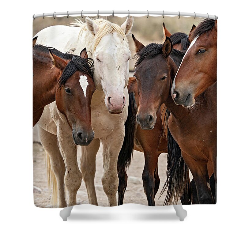 Wild Horses Shower Curtain featuring the photograph Wild Horse Huddle by Wesley Aston