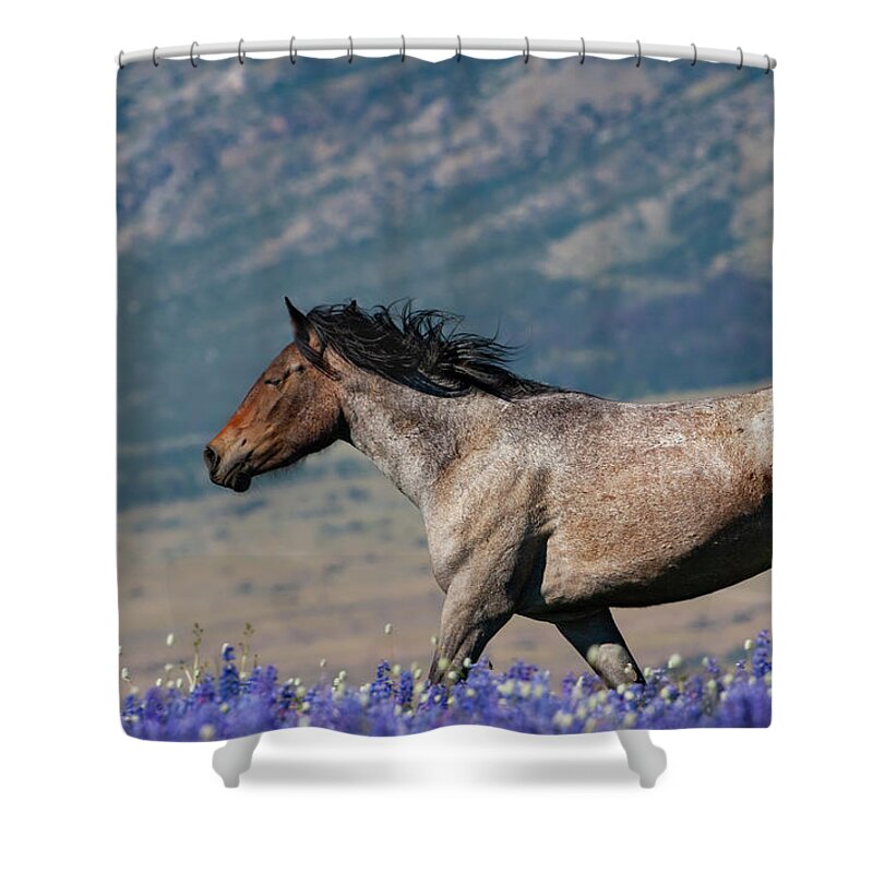 Color Image Shower Curtain featuring the photograph Wild horse by Mark Miller