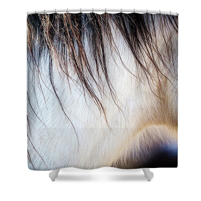 I Love The Beauty Of The Outdoors And Its Natural Wildlife. This Wild Horse Was Shot In The Pryor Mountain Wild Horse Range. Shower Curtain featuring the photograph Wild Horse No. 5 by Craig J Satterlee
