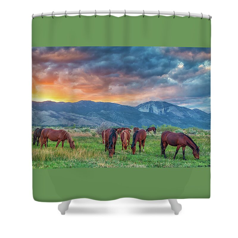 Nevada Shower Curtain featuring the photograph Wild Horses at Sunset by Marc Crumpler