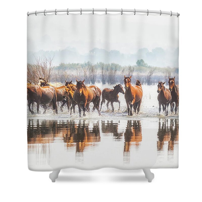 Nevada Shower Curtain featuring the photograph Wild Horses Crossing Big Washoe by Marc Crumpler