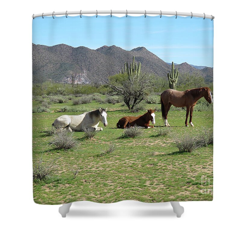 Horses Shower Curtain featuring the photograph Wild Horses by Mary Mikawoz