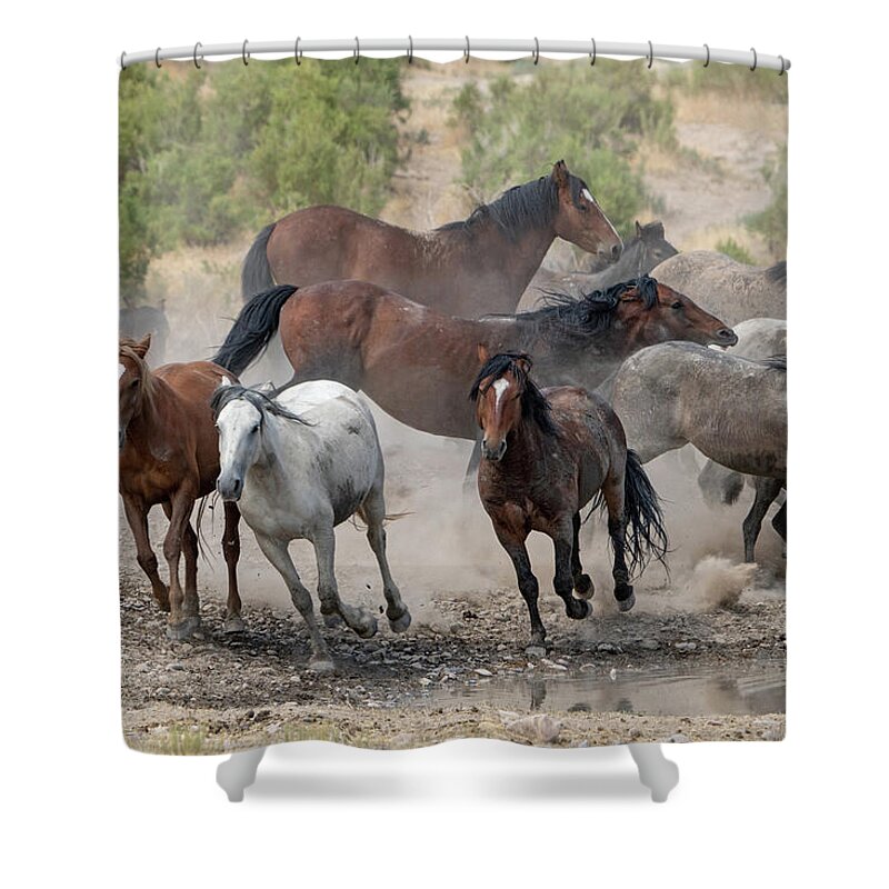 Wild Horses Shower Curtain featuring the photograph Wild Horses Utah by Wesley Aston