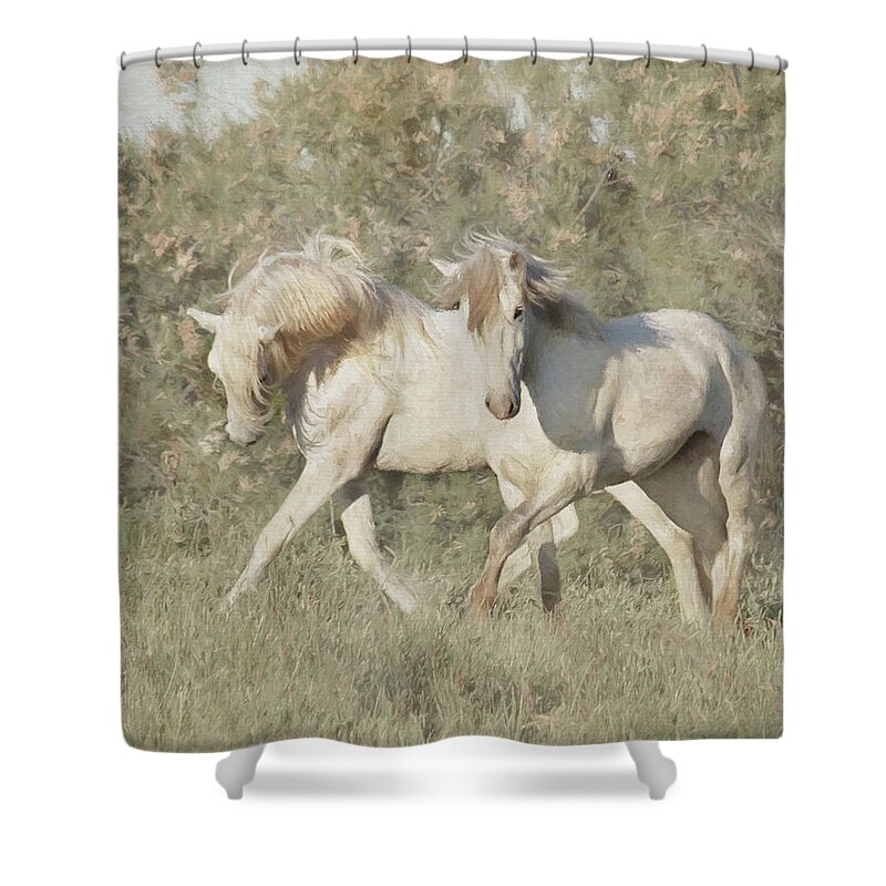 Horse Shower Curtain featuring the photograph Wild Stallions of the Camargue by Karen Lynch
