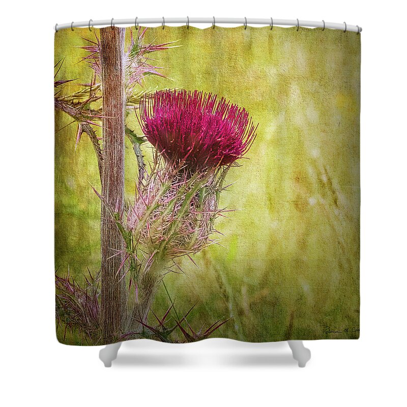 Flower Shower Curtain featuring the photograph Wild Thistle in South Carolina by Bellesouth Studio