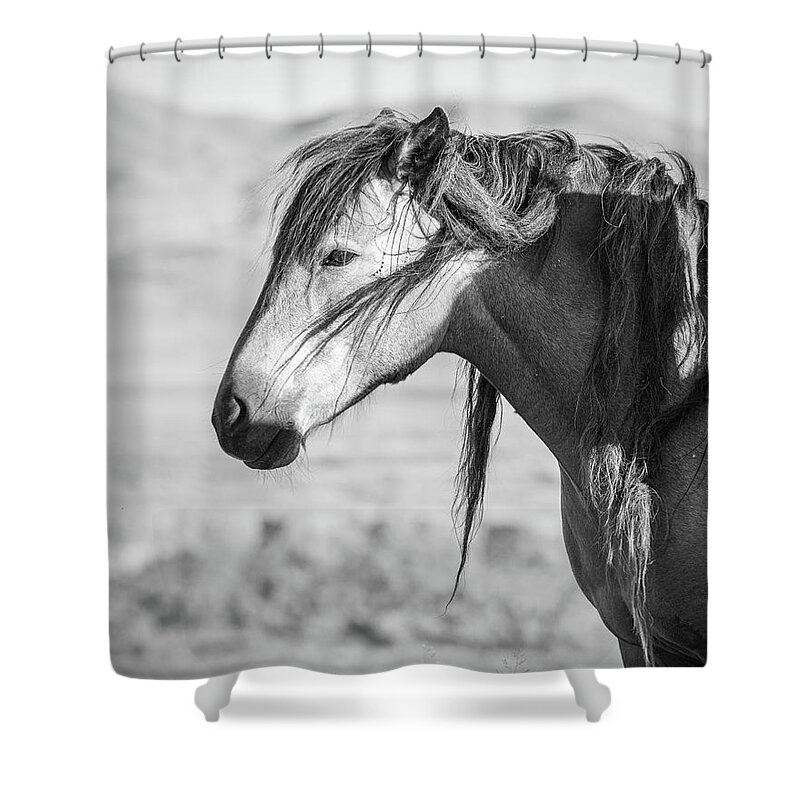 Wild Horse Shower Curtain featuring the photograph Wild Wind Knots by Mary Hone