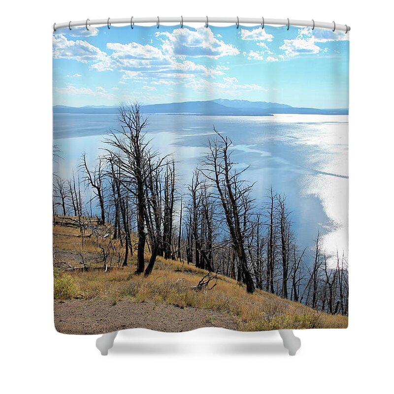 Lake Yellowstone Shower Curtain featuring the photograph Wildfire Devastation by Robert Carter