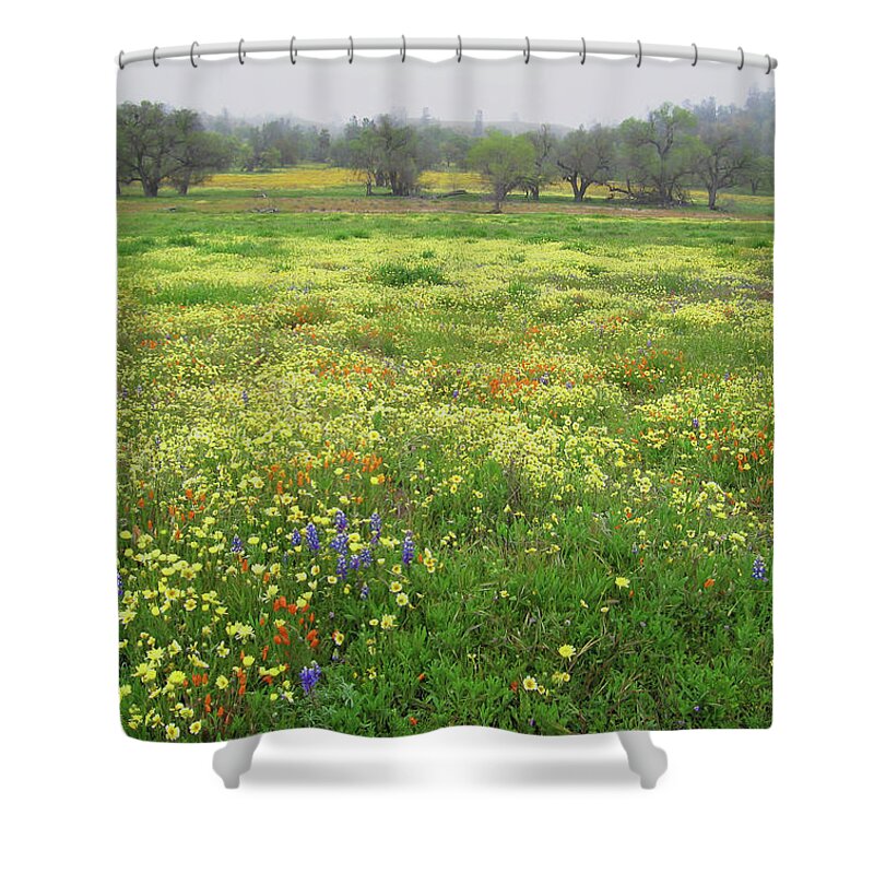 Wildflowers Shower Curtain featuring the photograph Wildflower Meadow in Central California by Ram Vasudev