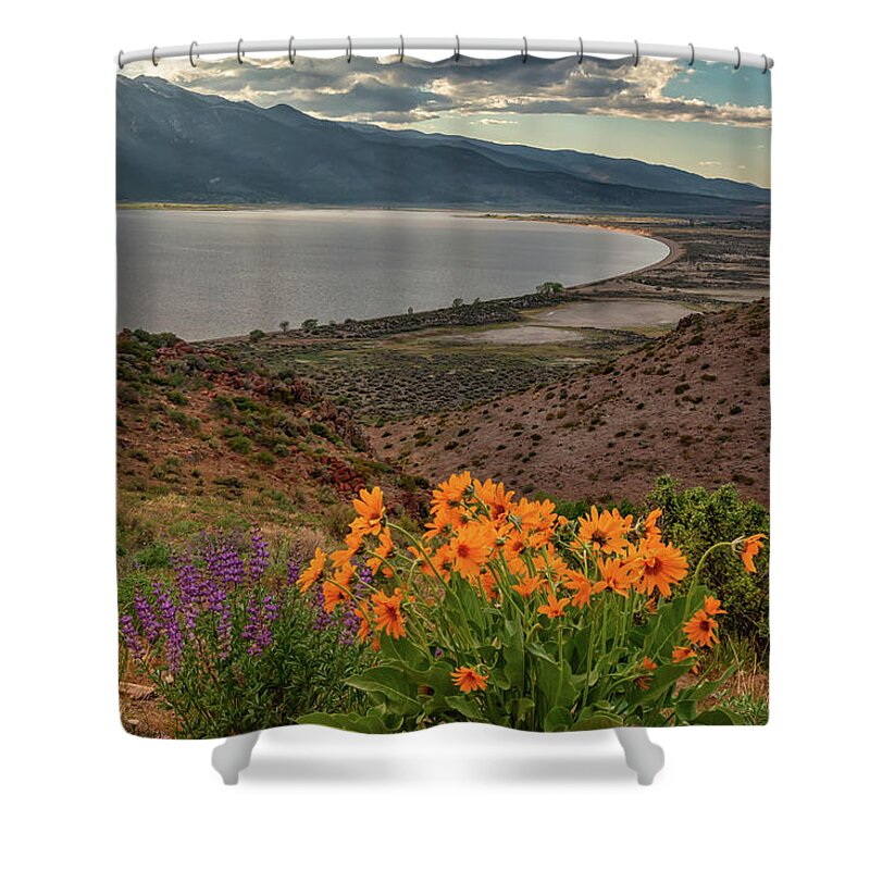 Nevada Shower Curtain featuring the photograph Wildflowers Above Big Washoe by Marc Crumpler