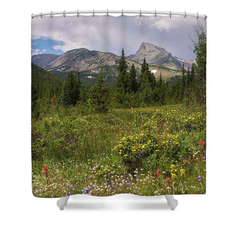 Sawtooth Shower Curtain featuring the photograph Wildflowers and the Sawtooth by Aaron Spong