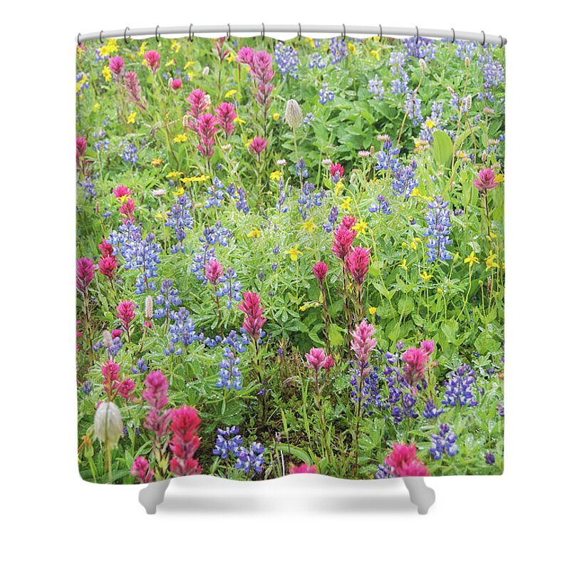 Bloom Shower Curtain featuring the photograph Wildflowers at Paradise, Mount Rainier National Park by Nancy Gleason