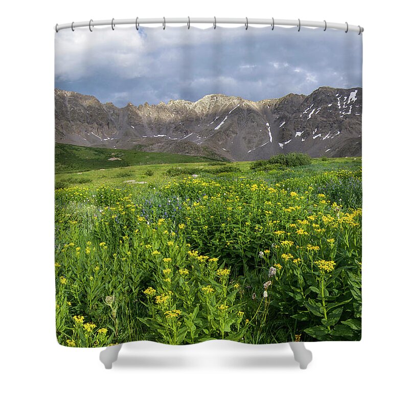 Breckenridge Shower Curtain featuring the photograph Wildflowers in Mayflower Gulch by Aaron Spong