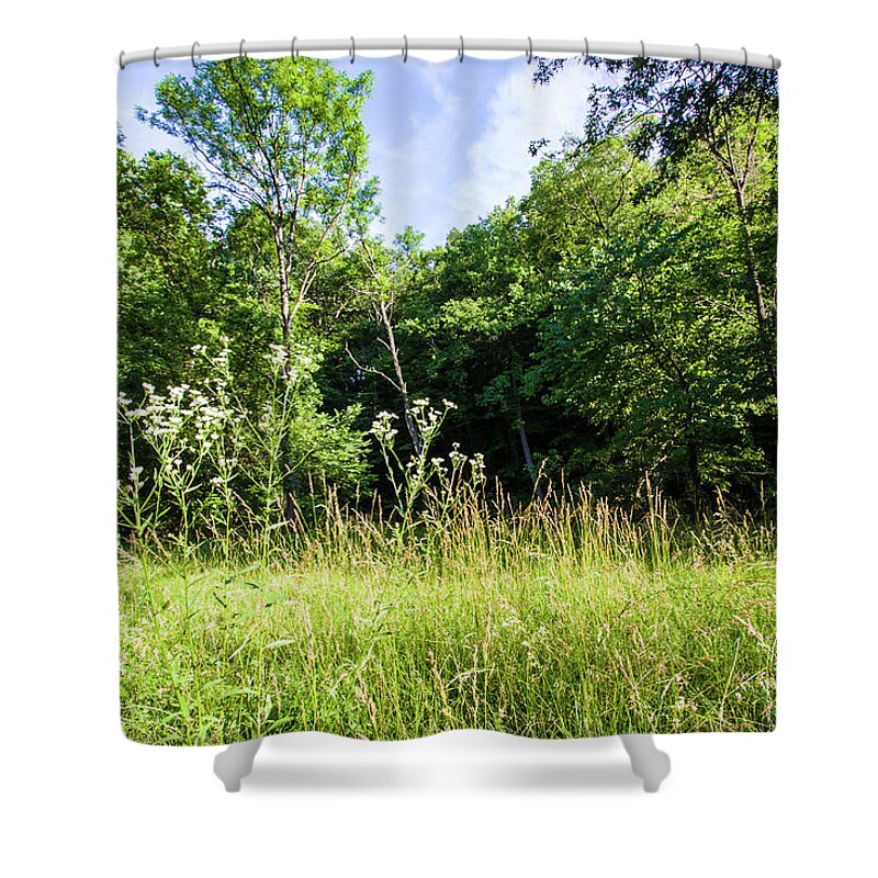 Wildflowers Shower Curtain featuring the photograph Wildflowers in Springtime - A Rock Creek Park Impression by Steve Ember