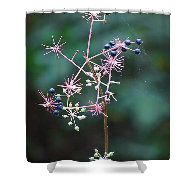 Flora Shower Curtain featuring the photograph Tiny Wildflowers Up Close by Ellen Cotton