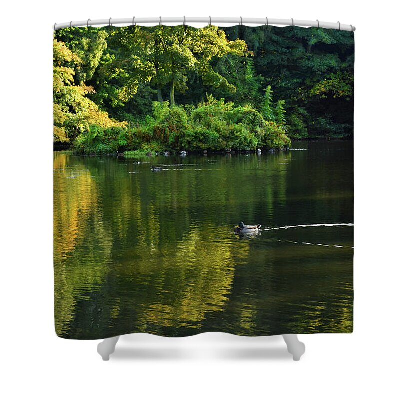 Landscape Shower Curtain featuring the photograph Wildfowl on The Loch - Riccarton Estate by Yvonne Johnstone