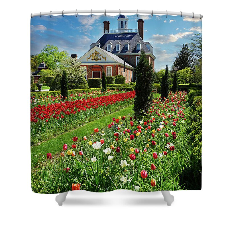 Williamsburg Shower Curtain featuring the photograph Williamsburg Tulips by Dale R Carlson