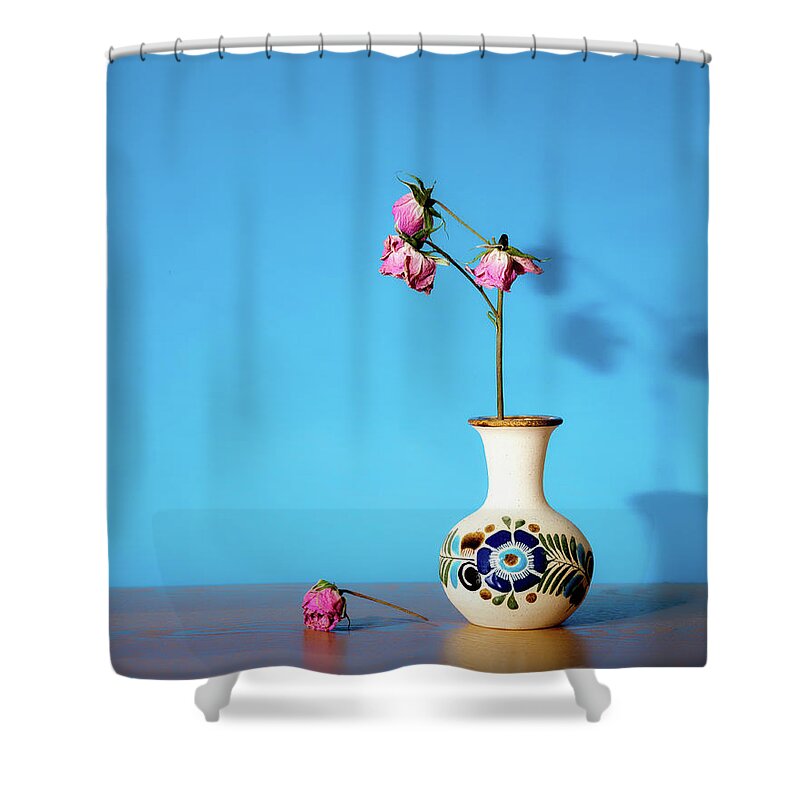 Still Life Shower Curtain featuring the photograph Wilted roses against blue by Alessandra RC