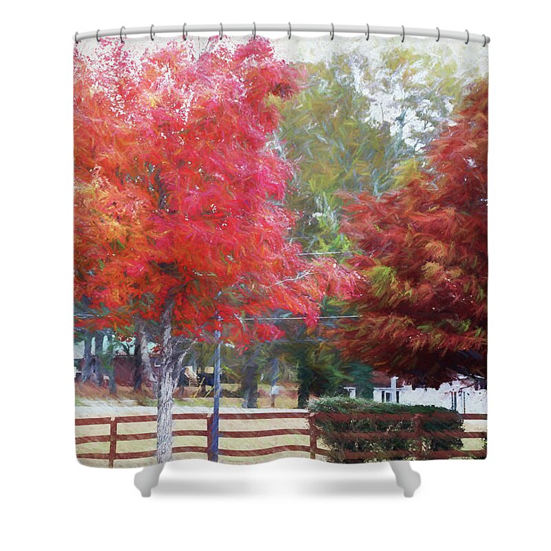 Fall Leaves Shower Curtain featuring the photograph Wind blown Fall colors by Dennis Baswell