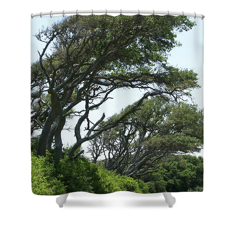  Shower Curtain featuring the photograph Wind Blown by Heather E Harman