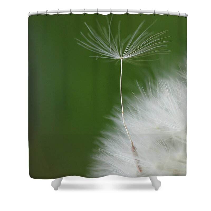 Flower Shower Curtain featuring the photograph Wind by Elbegzaya Lkhagvasuren