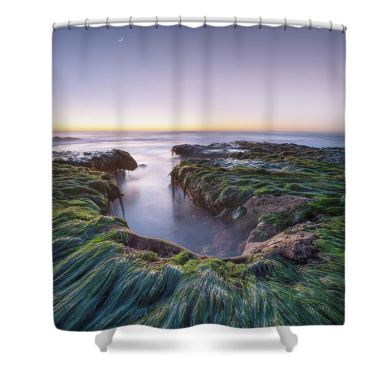 San Diego Shower Curtain featuring the photograph Windansea Beach Low Tide Moonset by William Dunigan
