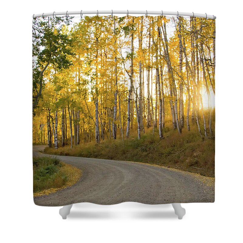 Colorado Shower Curtain featuring the photograph Winding Road by Wesley Aston