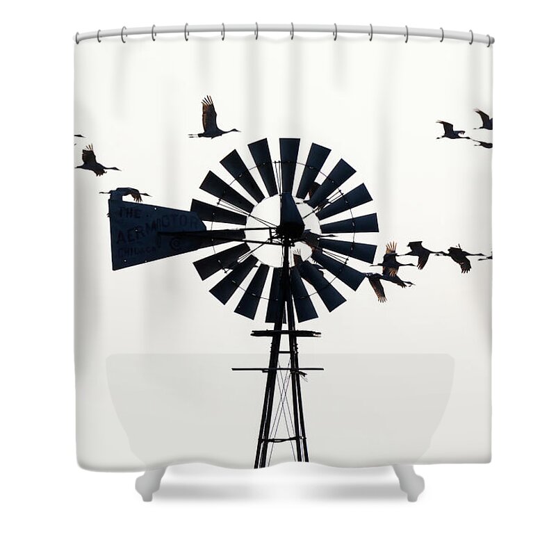 Sandhill Cranes Shower Curtain featuring the photograph Windmills and Sandhill Cranes by Susan Rissi Tregoning