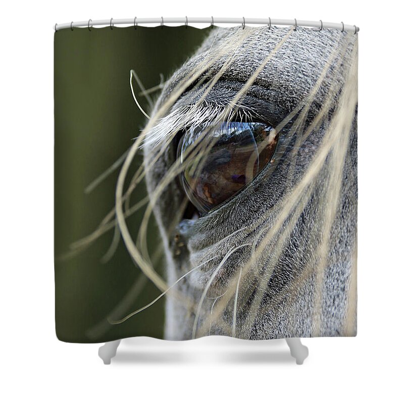 Horse Shower Curtain featuring the photograph Window of the Soul by M Kathleen Warren