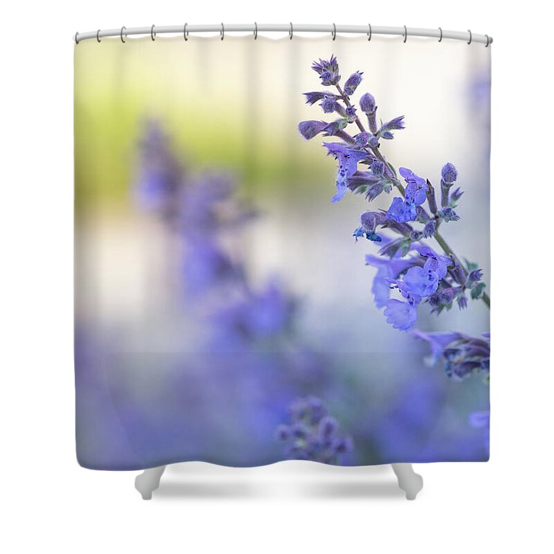 Macro Shower Curtain featuring the photograph Windswept by Laura Macky