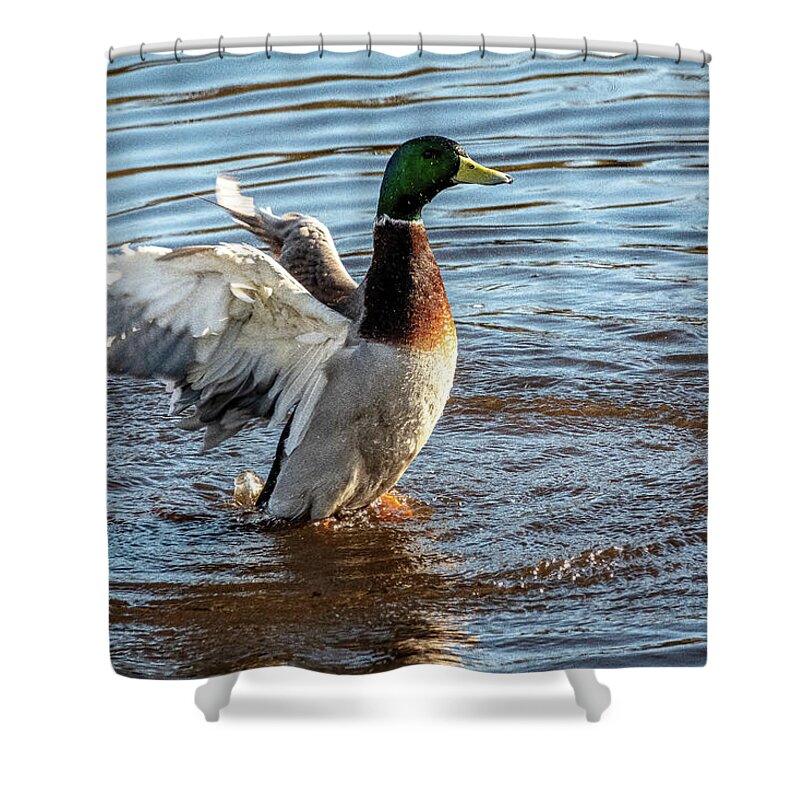 Lakes And Rivers Shower Curtain featuring the photograph Winged Victory by Larey McDaniel