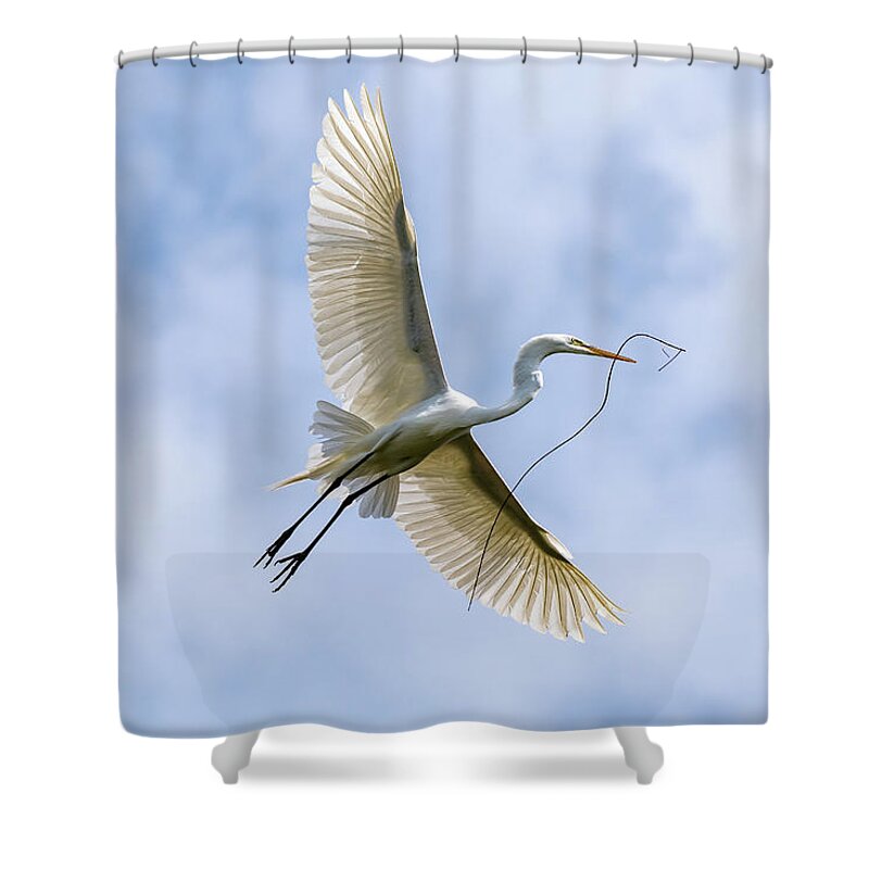 Great Egret Shower Curtain featuring the photograph Wingspan by Rose Guinther