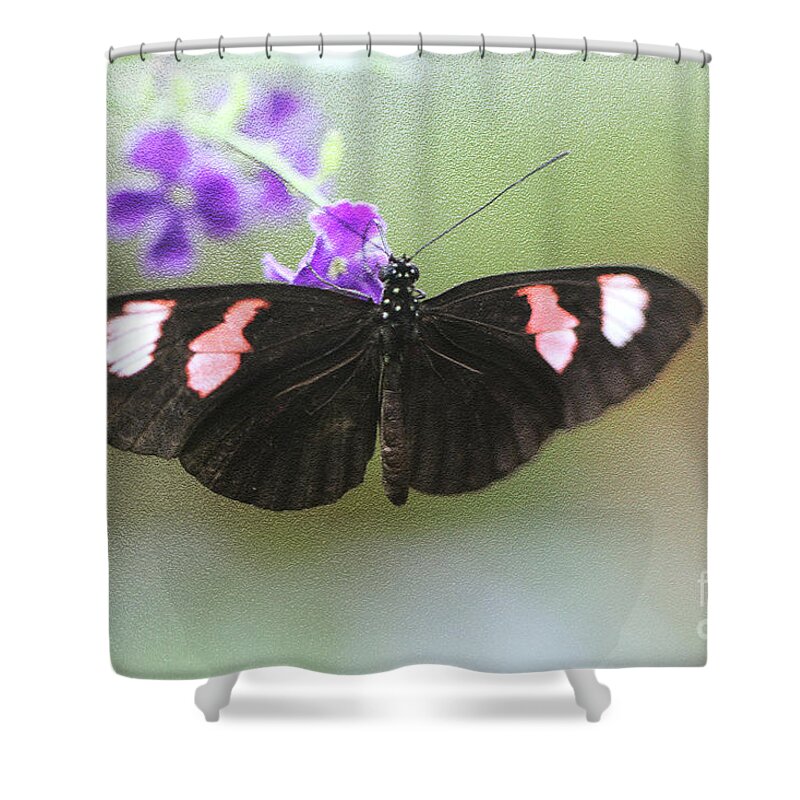 Butterfly; Black Butterfly; Black; Green; Leaves; Purple Flowers; Flowers; Wings; Purple; Red Shower Curtain featuring the photograph Wingspan by Tina Uihlein