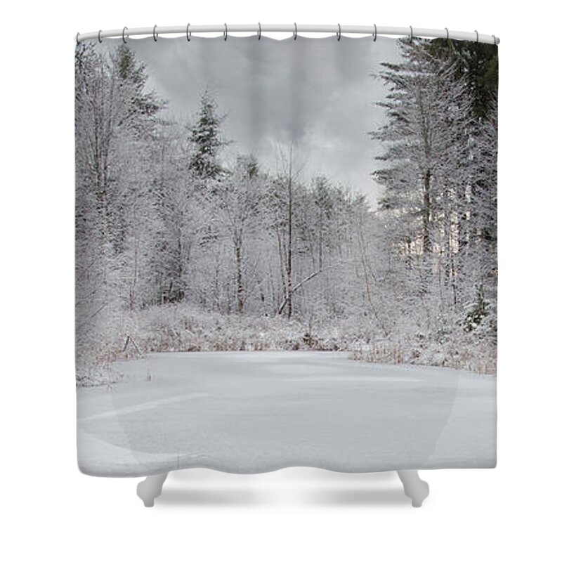 Winter Shower Curtain featuring the photograph Winter at the Pond by Moira Law