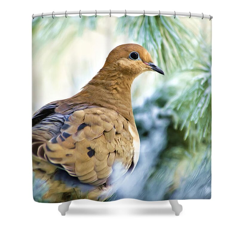 Dove Shower Curtain featuring the mixed media Winter Bird Mourning Dove by Christina Rollo