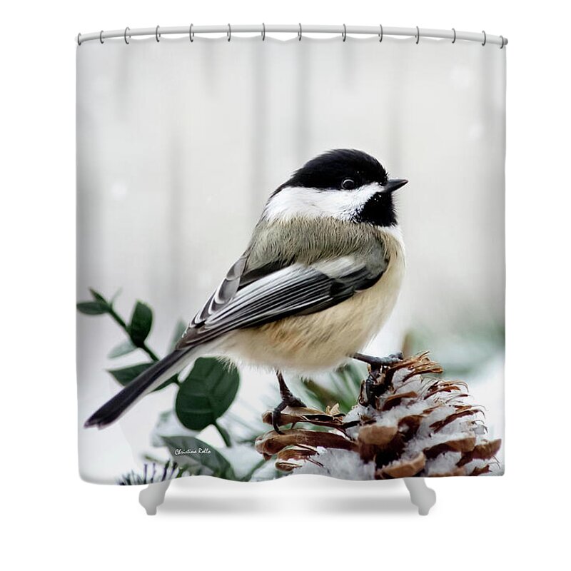 Chickadee Shower Curtain featuring the photograph Winter Chickadee by Christina Rollo