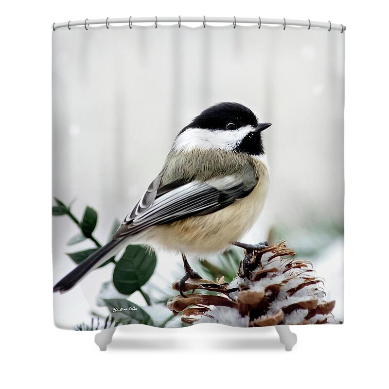 Winter Shower Curtain featuring the photograph Winter Chickadee Square by Christina Rollo