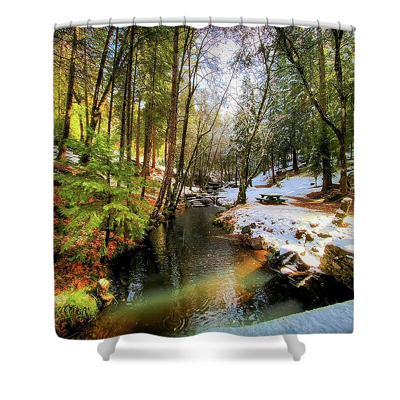 Landscape Shower Curtain featuring the photograph Winter Creek by Steph Gabler